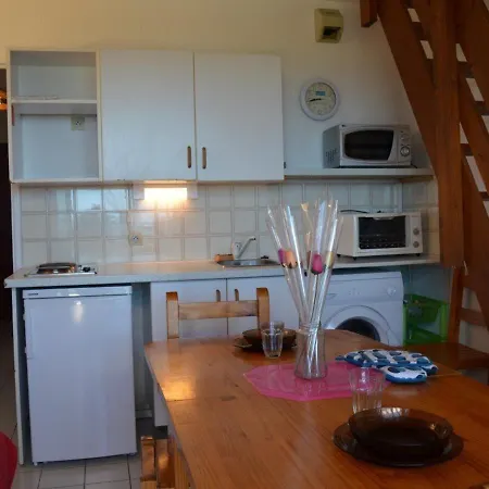 Apartment 2 Pieces Avec Mezzanine, Piscine Et Parking A Cyprien - Fr-1-225d-65 Saint-Cyprien (Pyrenees-Orientales)