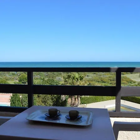 2 Pieces Avec Mezzanine, Piscine Et Parking A Cyprien - Fr-1-225d-65 Apartment Saint-Cyprien (Pyrenees-Orientales)
